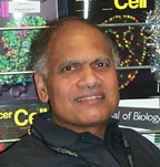 Dr. Modak